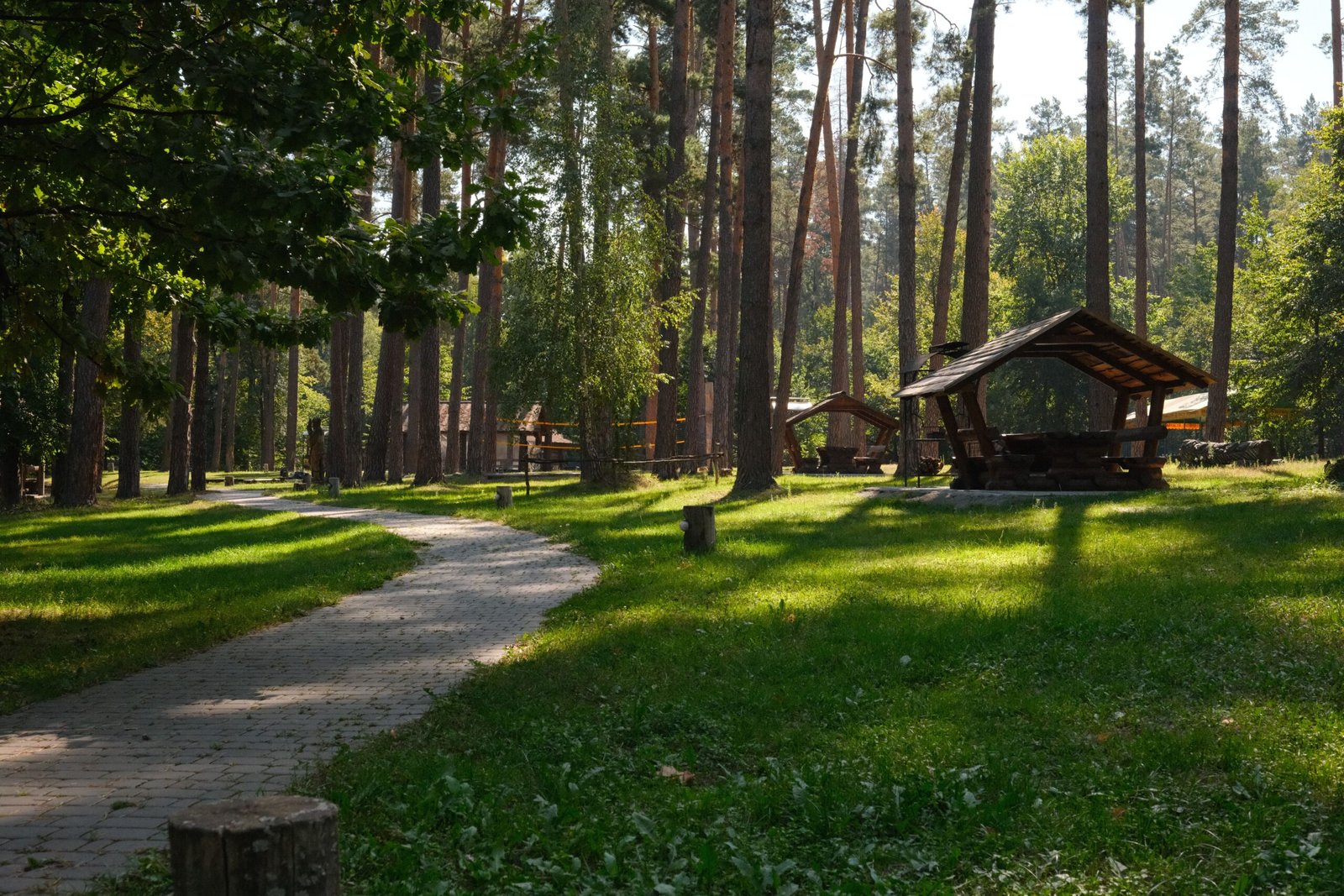 ANAYA